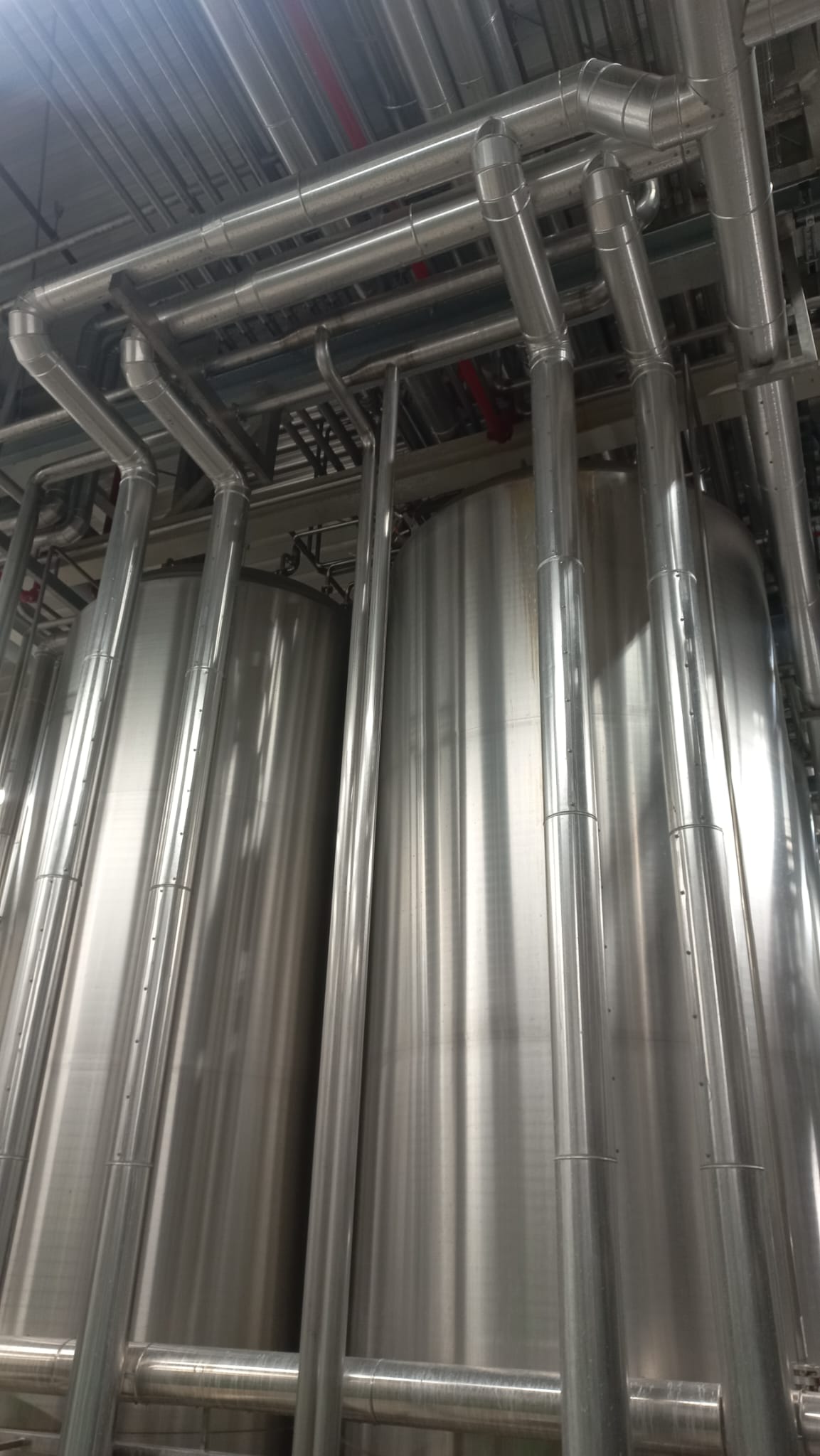 Zdjęcie WhatsApp 2025-01-28 o 15.16.22_4c4a1b82