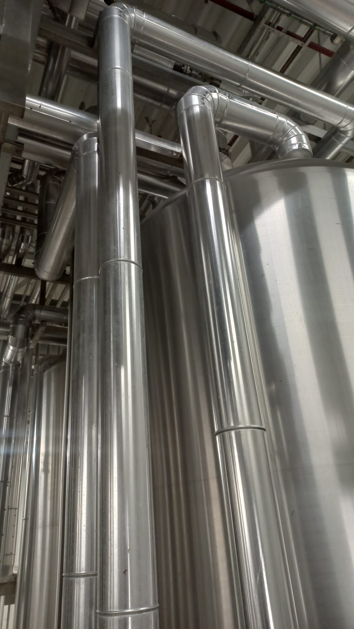 Zdjęcie WhatsApp 2025-01-28 o 15.16.22_8a5dca6c