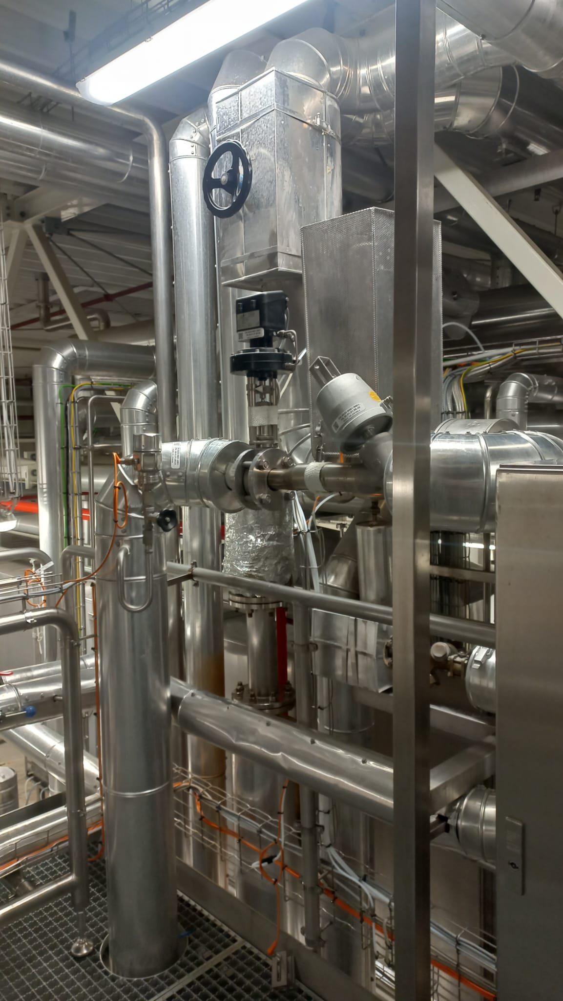 Zdjęcie WhatsApp 2025-01-28 o 15.17.13_81e1c40d